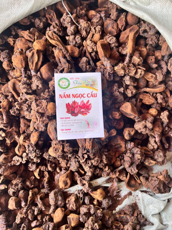 NẤM NGỌC CẨU - Hình ảnh 4