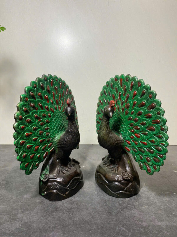 CẶP CHIM CÔNG XOÈ ĐỒNG  MÀU - Hình ảnh 6