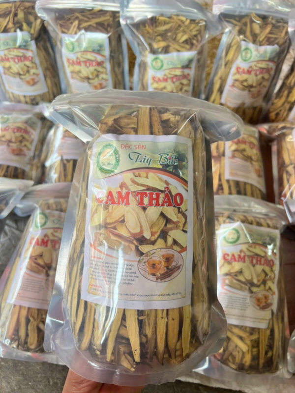 CAM THẢO BẮC