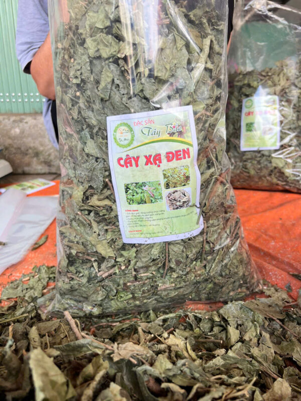 lá xạ đen - Hình ảnh 3