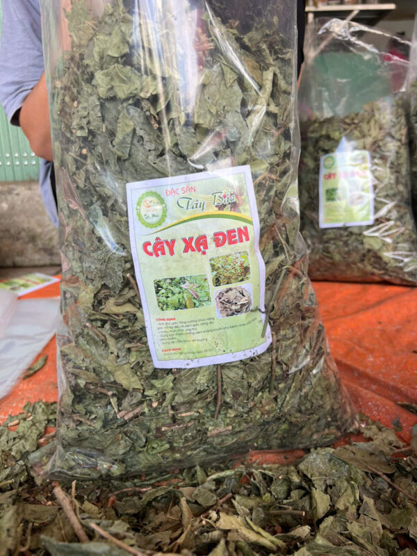 lá xạ đen