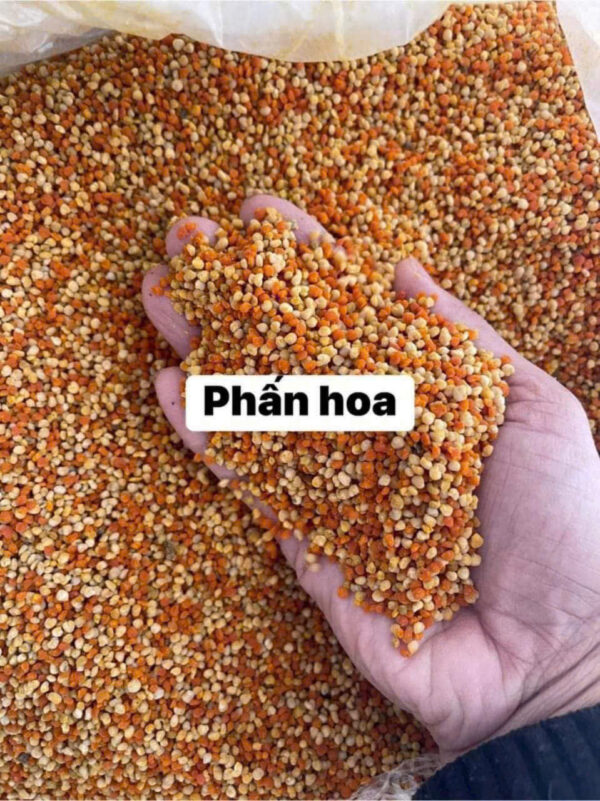 PHẤN HOA MẬT ONG - Hình ảnh 2