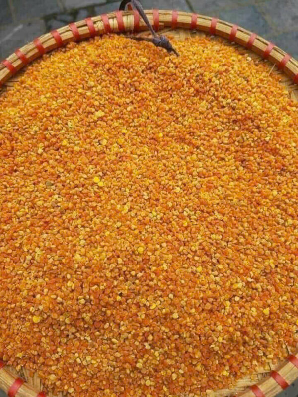 PHẤN HOA MẬT ONG - Hình ảnh 7
