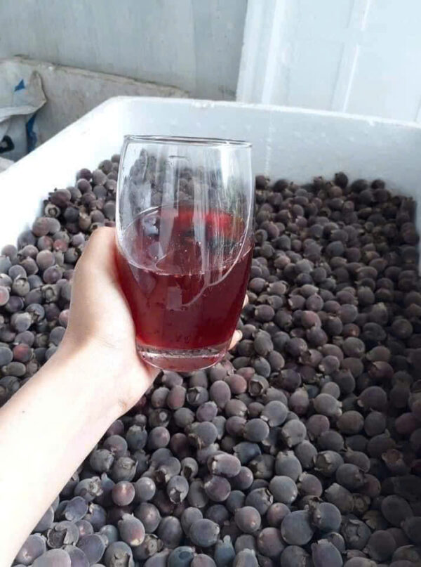 Hạt chuối cô đơn - Hình ảnh 2