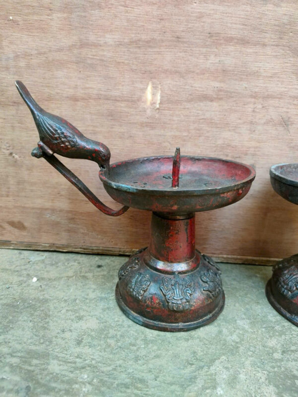 CHÂN  NẾN  CHIM  ĐIỂU - Hình ảnh 3