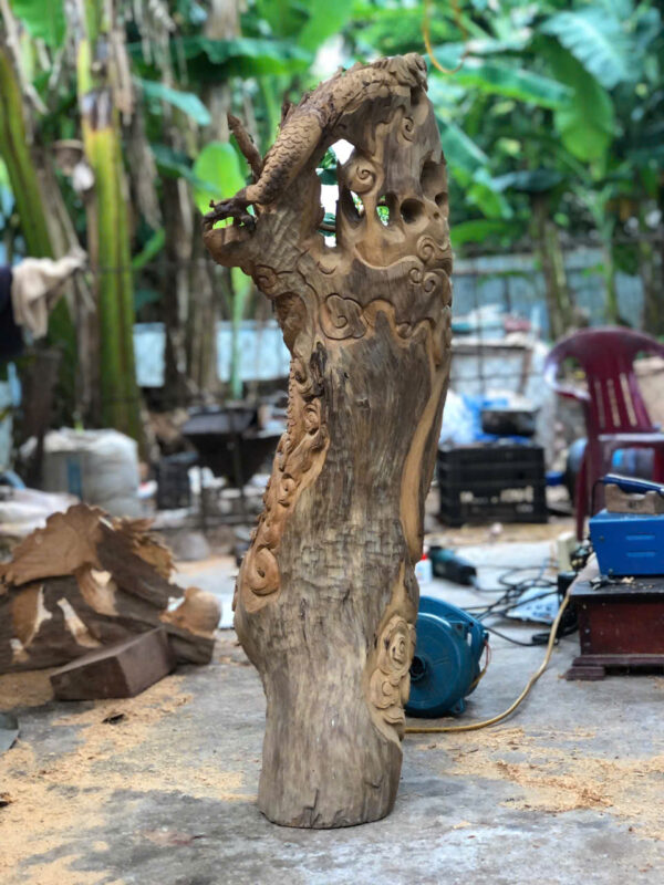 Nhất long dáng quấn lũa - Hình ảnh 5