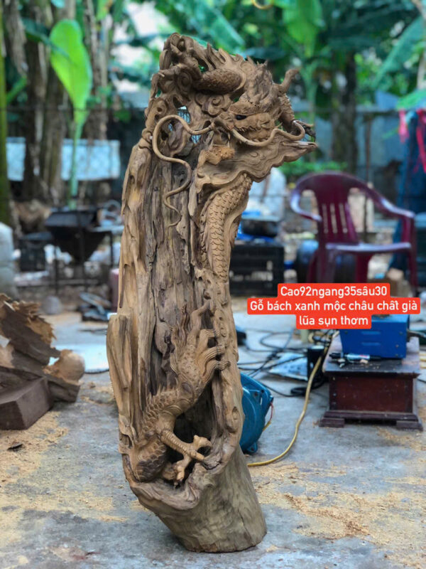 Nhất long dáng quấn lũa - Hình ảnh 6