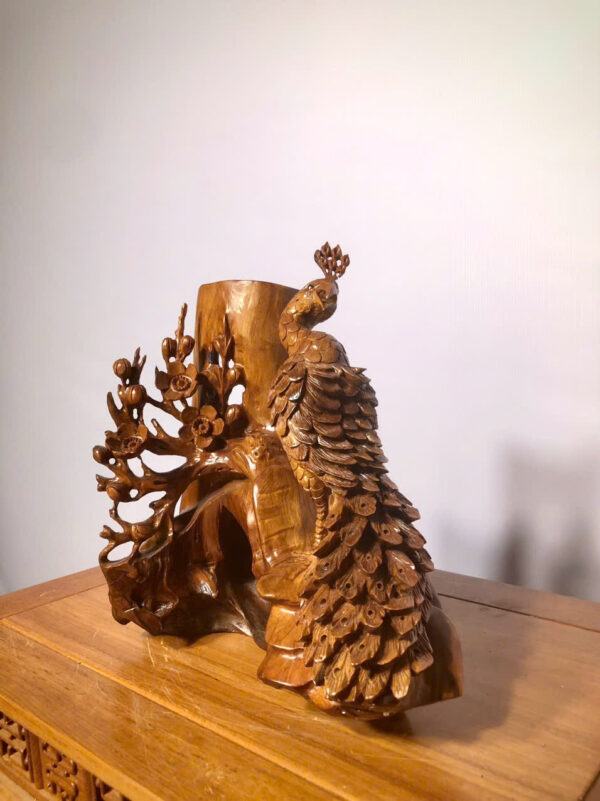 Chim công mai - Hình ảnh 2