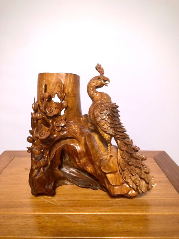 Chim công mai - Hình ảnh 4