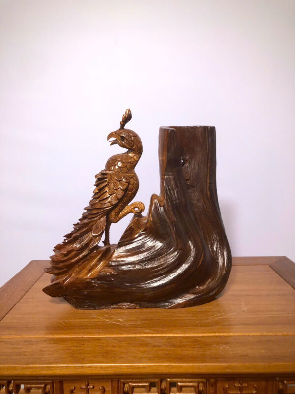 Chim công mai - Hình ảnh 5