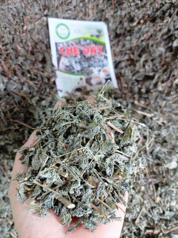 Chè Dây - Chè Mốc