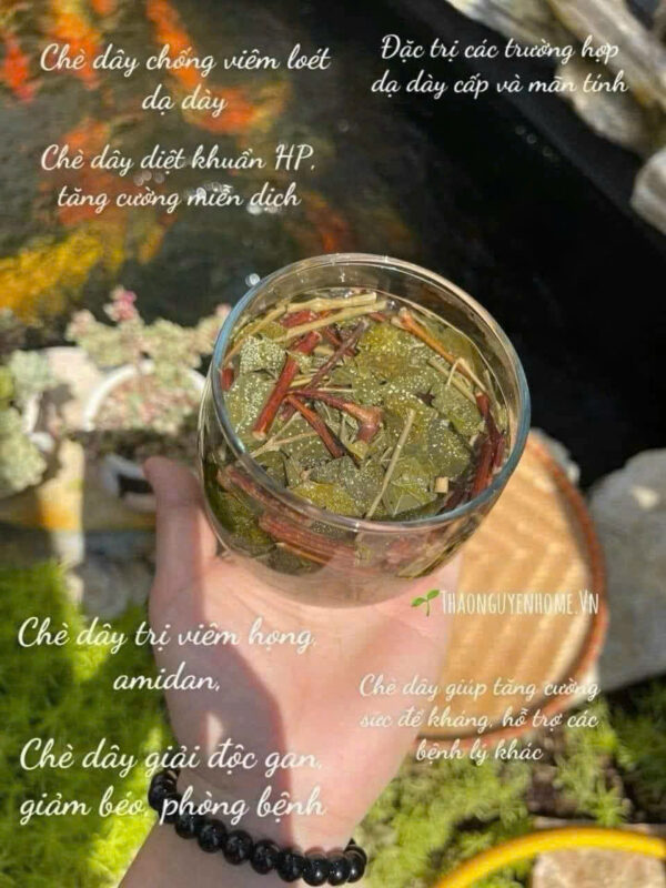 Chè Dây - Chè Mốc - Hình ảnh 4