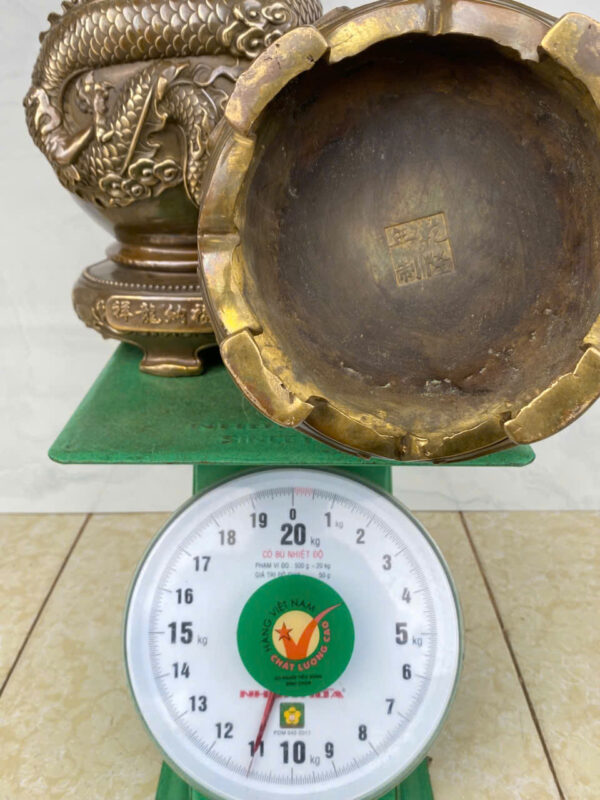 HỒ  LÔ LONG  PHỤNG  SIÊU TO - Hình ảnh 4