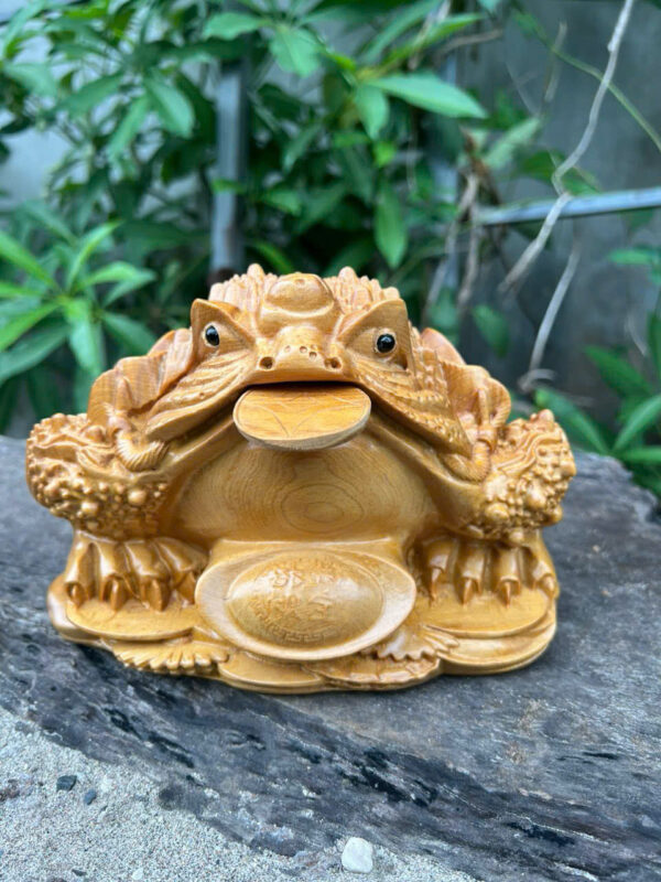 Thiềm thừ gỗ bách xanh