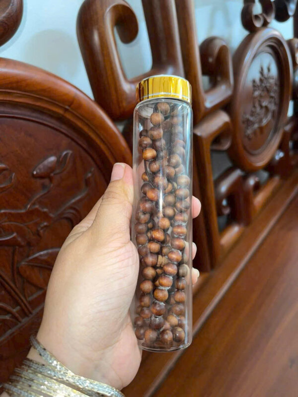 Hoàng Đàn Tuyết Liên Sơn - Hình ảnh 3