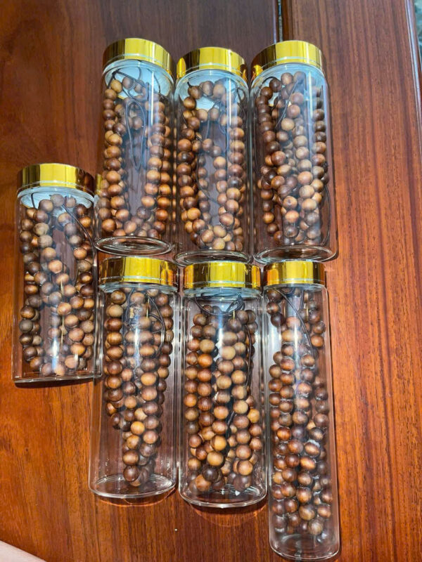 Hoàng Đàn Tuyết Liên Sơn - Hình ảnh 4
