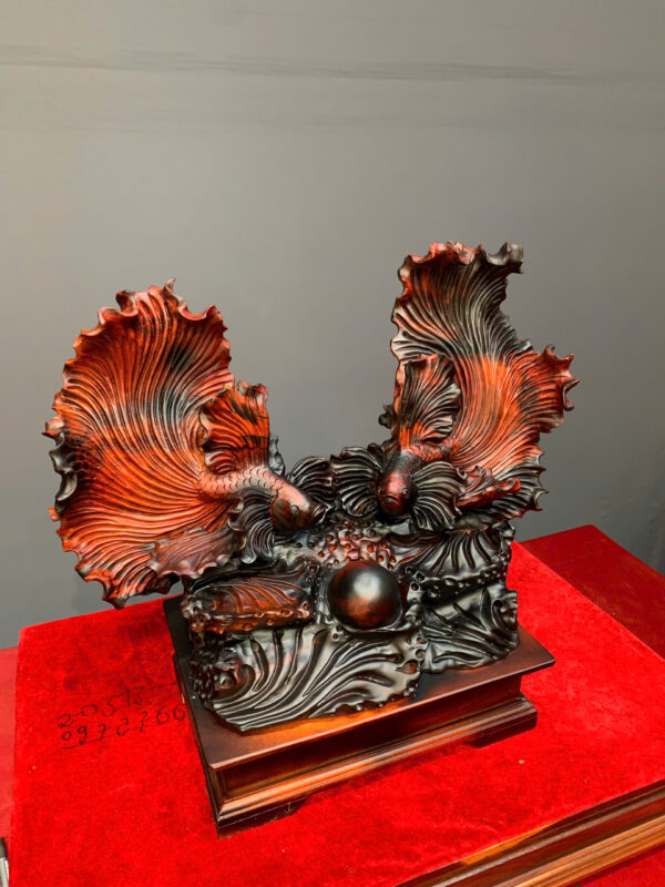 Cặp cá Xiêm - Hình ảnh 4
