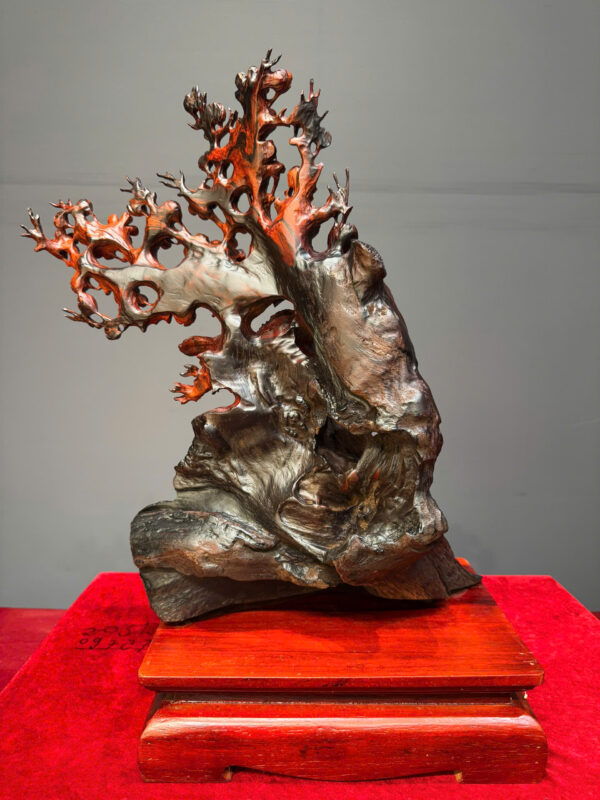 Gia đình chim - Hình ảnh 2