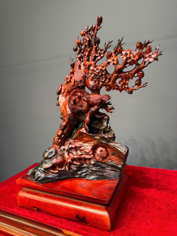 Gia đình chim - Hình ảnh 4