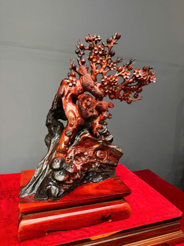 Gia đình chim - Hình ảnh 3