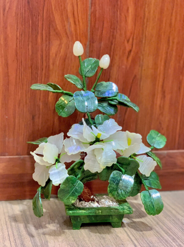 ☘️ Cây hoa trà - Hình ảnh 2