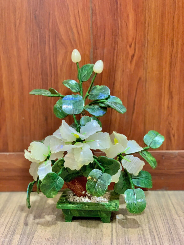 ☘️ Cây hoa trà - Hình ảnh 3