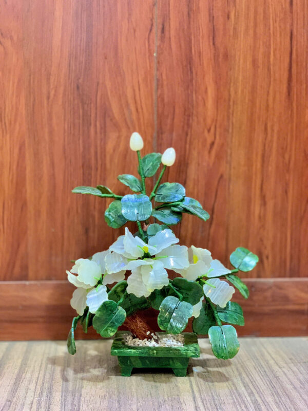 ☘️ Cây hoa trà - Hình ảnh 5