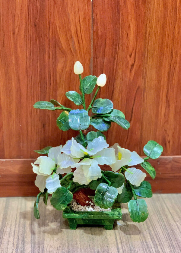 ☘️ Cây hoa trà - Hình ảnh 6