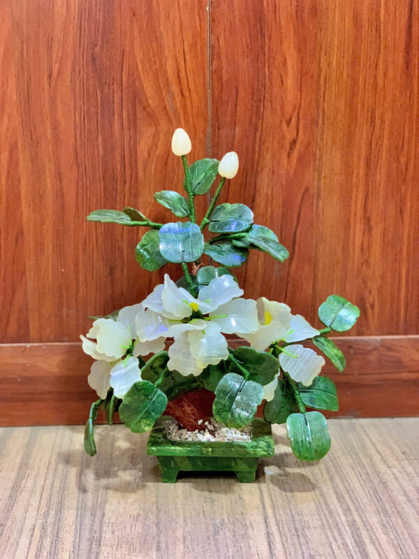 ☘️ Cây hoa trà