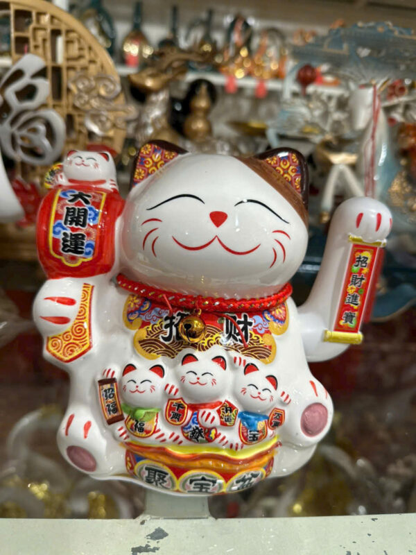 Mèo thần tài - Hình ảnh 13