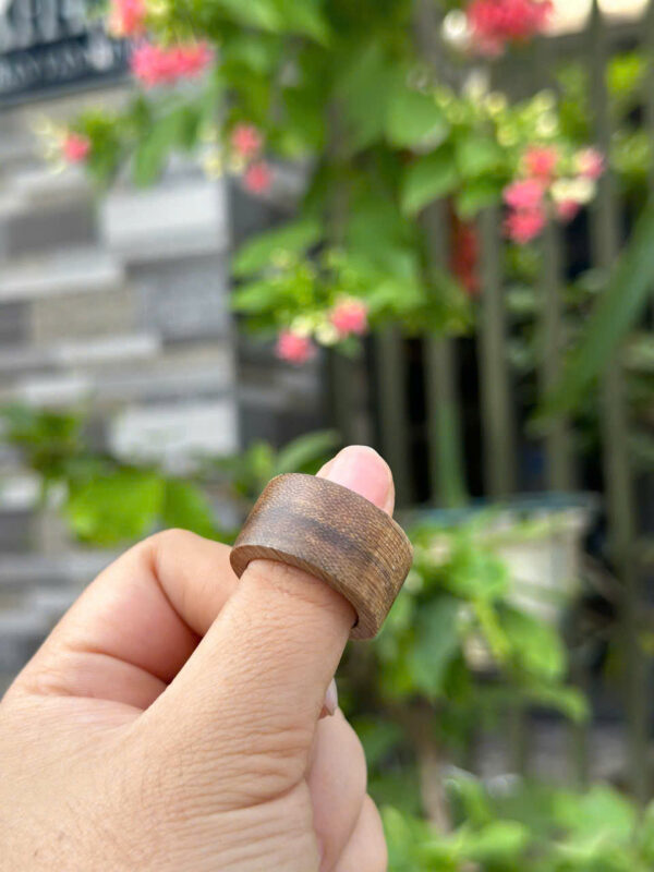 Nhẫn trầm tốc vườn- Nhẫn sánh-  Nhẫn kiến - Hình ảnh 7