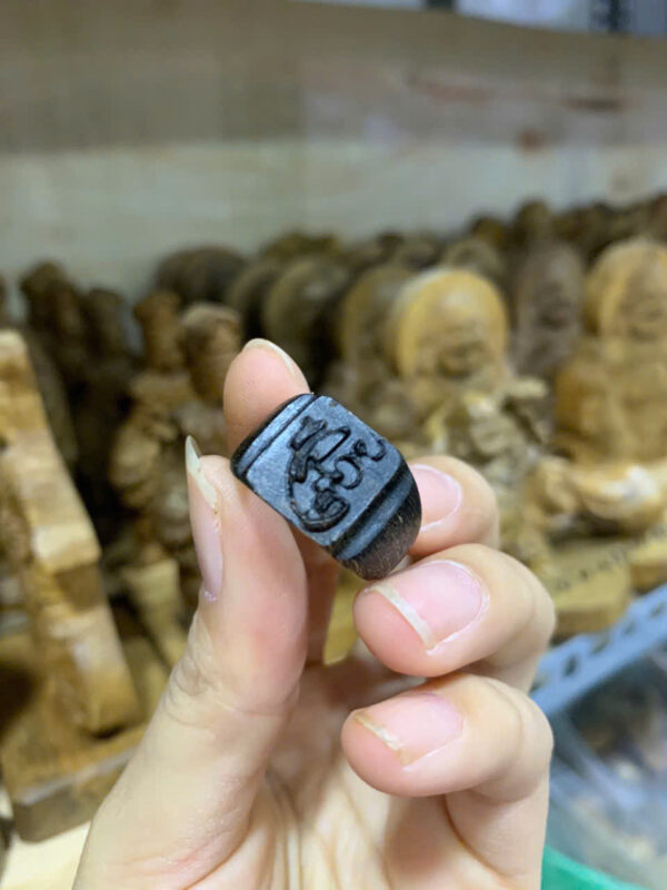 Nhẫn trầm tốc vườn- Nhẫn sánh-  Nhẫn kiến - Hình ảnh 9