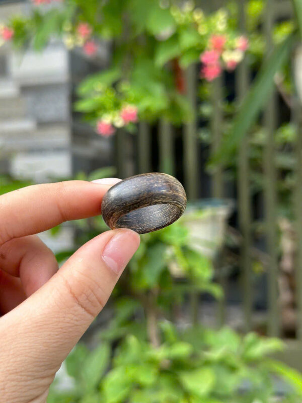 Nhẫn trầm tốc vườn- Nhẫn sánh-  Nhẫn kiến - Hình ảnh 2