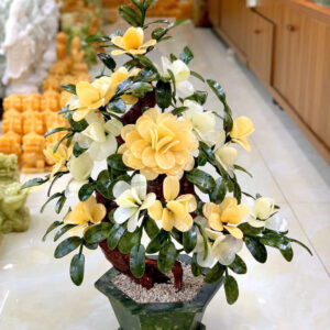 Cây hoa trà chậu lục giác