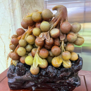 Tp chùm nhãn  ngọc thọ sơn