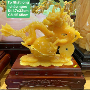 Tp Nhất long chầu ngọc