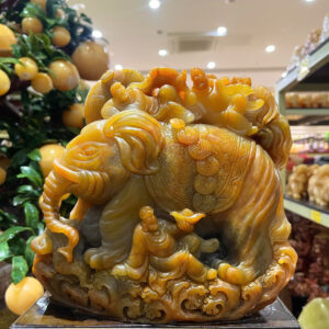 Tp Voi ngọc thọ sơn