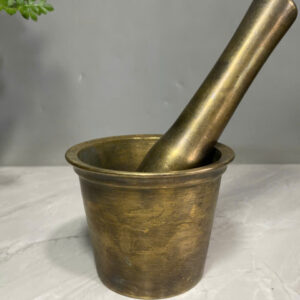 CHÀY  CỐI  ĐỒNG