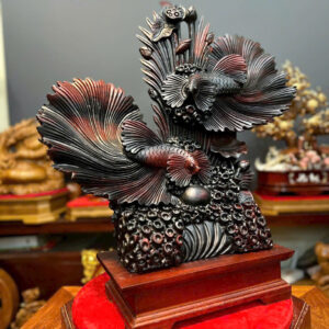 Cá xiêm gỗ trắc