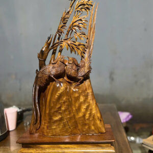 gỗ bách xanh mộc châu