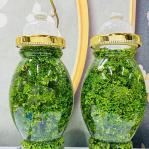 QUẢ SÂM NGỌC LINH