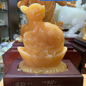 Tp Tuổi Tý ngọc hoàng long