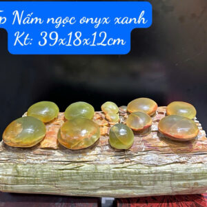 Tp Nấm ngọc onyx xanh