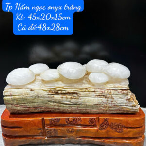 Tp Nấm ngọc onyx trắng