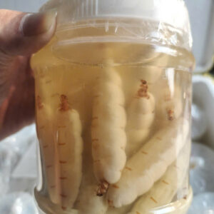 MỐI CHÚA NGÂM RƯỢU