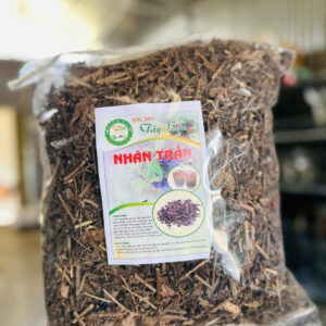 Cây nhân trần phơi khô