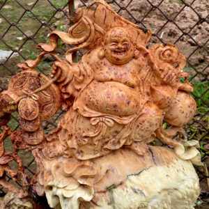 Thần tài gỗ nu chun sụn bách xanh