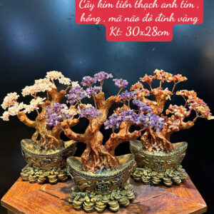 Cây kim tiền thạch anh tím , hồng , mã não đỏ đĩnh vàng