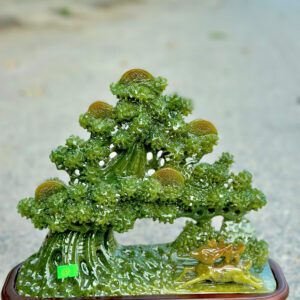 Cây Tùng ngọc serpertine